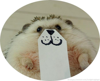 Illustration for article titled Hedgehog Impersonates Pikachu (and More)